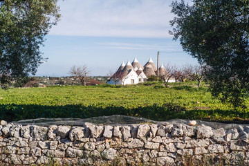 Landscapes of Puglia