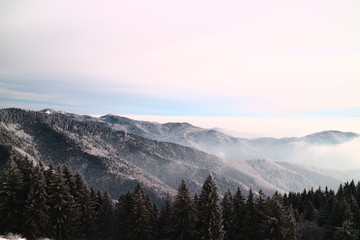 Mountain