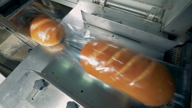 A top view on white bread loaves moving covered with clear film. 