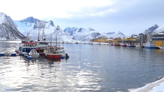 View on Husøy, Senja fishing port and village