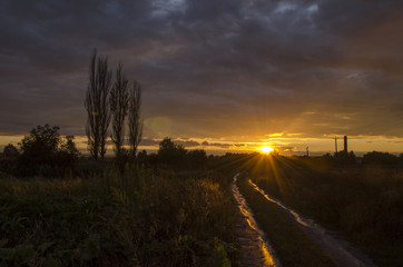 Fototapeta premium Rural road on sunset after rain
