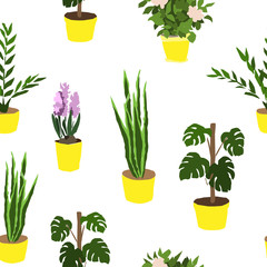 Fototapeta na wymiar House Plants - simple color seamless pattern