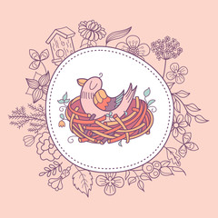 Birds in nests. The flowers and birds. Vector illustration.