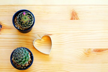 Fototapeta na wymiar cactus on a wooden background with heart, top view, blank space for text, love concept and vintage style 