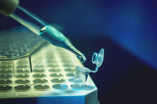cancer crispr gene editing research concept cancer and diabetes cure research modern diseases research concept  
