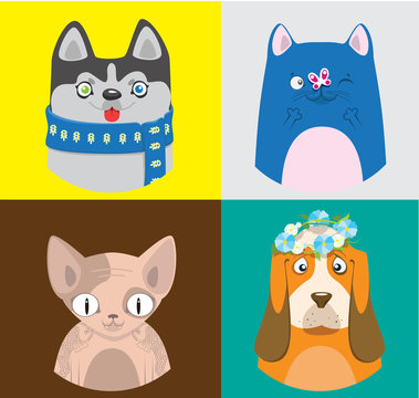 Colorful cartoon cats and dogs collection. Vector pattern of pets in bright squares.