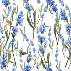 Wildflower lavender flower pattern in a watercolor style. Full name of the plant: lavender. Aquarelle wild flower for background, texture, wrapper pattern, frame or border.
