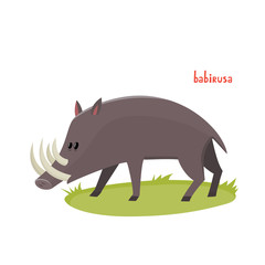 Vector cute babirusa in cartoon style isolated on white background.
