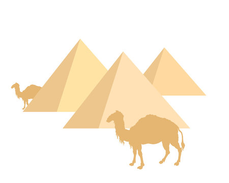 Kamele und Pyramiden