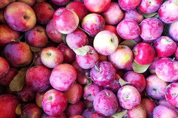 A scattering of natural red apple
