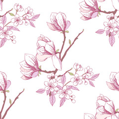 Seamless pattern with magnolia 