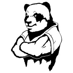 Isolated vector illustration a strong wild panda- man.