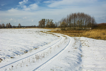Obraz premium Traces of wheels on a snowy and winding road, grove and clouds in the sky