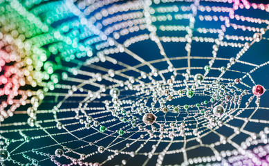 Close-up of beautiful colorful cobweb with pearls from water droplets. Multicolored texture of the spider web with glittering rain drops on a night background and bokeh.
