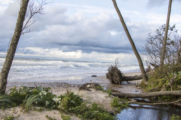 Fototapeta na wymiar Baltic Sea storm