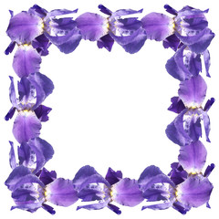 Frame of blue irises