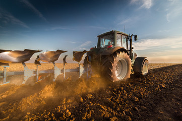 Tractor plowing fields -preparing land for sowing in autumn - obrazy, fototapety, plakaty
