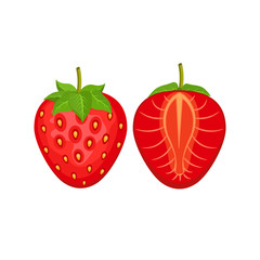 Vector Red strawberry isolated on white background.   