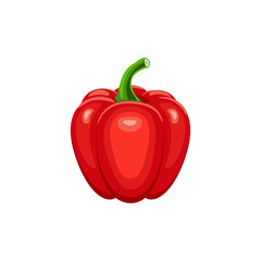 Red pepper isolated on white background. Vector illustration. ingredients for cooking.