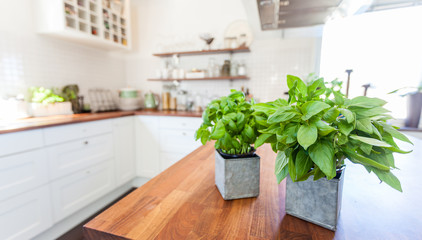 fresh herbs on the kitchen counter top