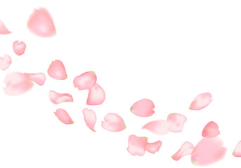Obraz na płótnie Canvas Pink sakura or rose falling petals