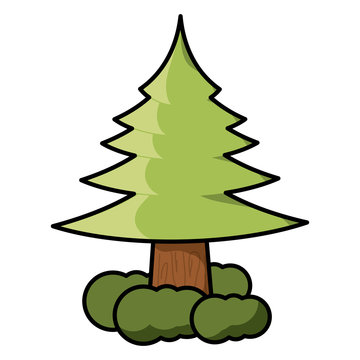 Pine tree icon image