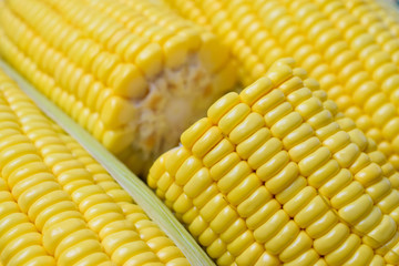 Fresh peeled sweet corns
