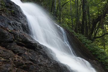 Kondalilla Falls in Kondalilla Falls National Park.