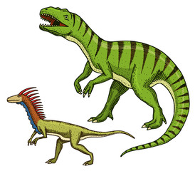 Dinosaurs Tyrannosaurus rex, Velociraptor, Ceratosaurus, Afrovenator, Megalosaurus, Tarbosaurus, Struthiomimus skeletons, fossils. Prehistoric reptiles, Animal engraved Hand drawn vector