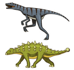 Dinosaur Ankylosaurus, Talarurus, Velociraptor, Euoplocephalus, Saltasaurus, skeletons, fossils. Prehistoric reptiles, Animal engraved Hand drawn vector.