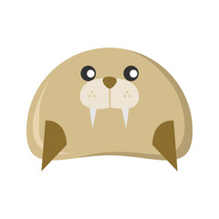 Cute Seal Character Animal Illustration
