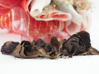 Bouquet of Valentine's Day withered on the white background.