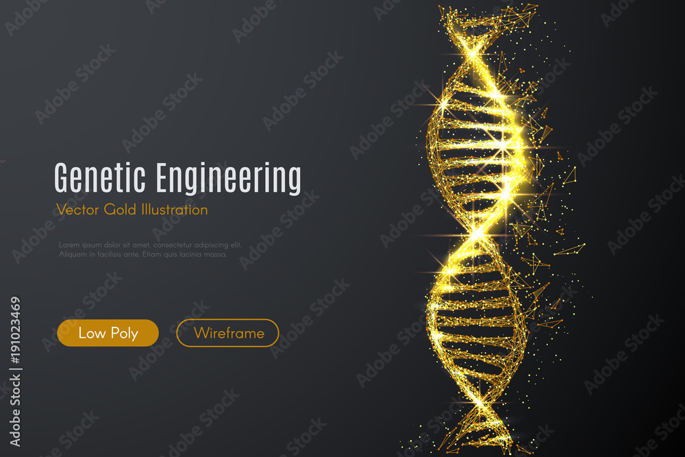 Poster Low poly illustration of the DNA with a golden dust effect. Sparkle stardust. Glittering vector with gold particles on dark background. Polygonal wireframe science concept from dots and lines.