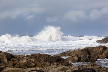 Essaouira coast