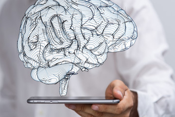 brain