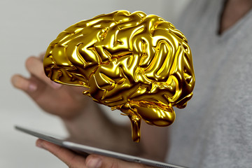 brain