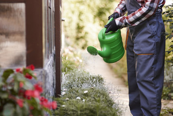 Unrecognizable gardener watering flowers