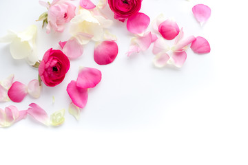 Spring flowers. Pink flowers on white wooden background. Flat lay, top view