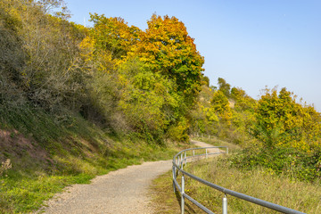 Hiking trail in autumn near Bad Kreuznach City in Rhineland Palatinate, Germany