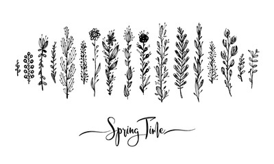 Spring time wording with hand drawn flowers, Set of black doodle elements, grass, leaves, flowers. Vector illustration, Great design element for congratulation cards, print, banners and others