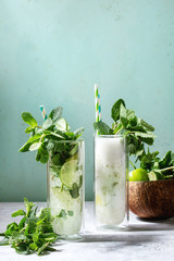 Two glasses of classic and coconut milk mojito cocktail with fresh mint, limes, crushed ice, retro cocktail tubes with ingredients above. Pin up style, sunlight, green background.