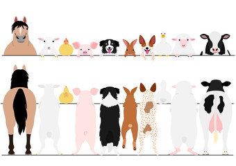 standing farm animals front and back border set