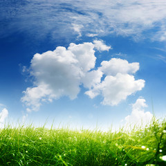 Fototapeta na wymiar Spring meadow with sky and clouds