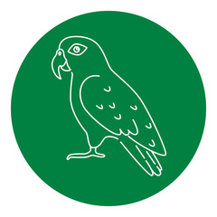 Pionus parrot icon in thin line style