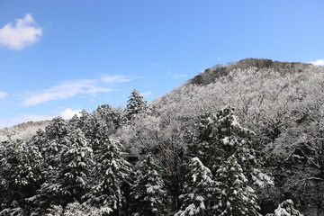 山中温泉　雪の鶴仙渓