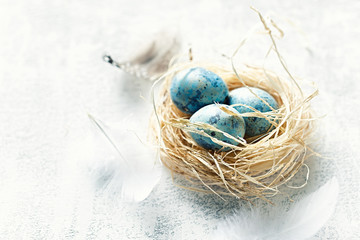 Blue Easter Eggs in a Nest