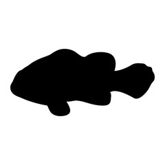 Isolated "Orange Clownfish" (or Percula Clownfish, Amphiprion Percula) black silhouette - Eps10 vector graphics and illustration