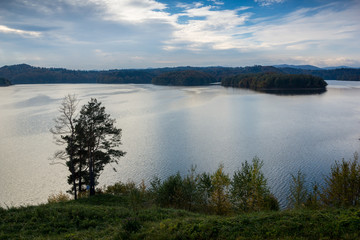 Fototapeta na wymiar Lone tree by the Solina lake in Polanczyk, Bieszczady, Poland