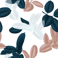 Poster Seamless pattern, dark green, white and brown Ficus Elastica leaves on light pink background © momosama