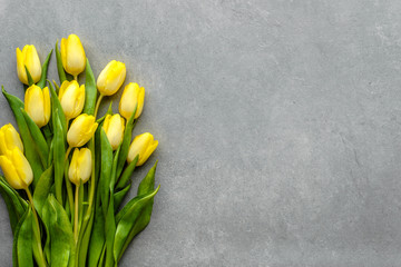 Yellow tulips, spring easter background or anniversary gift for mothers day or card for women's day at 8 march